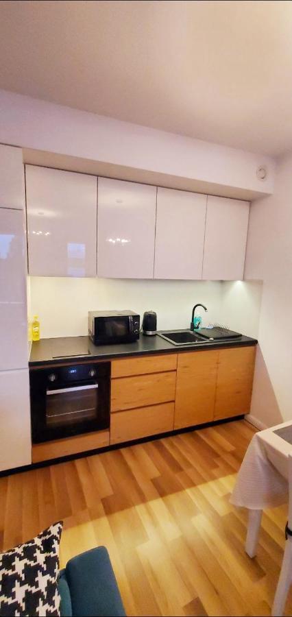 Dworska Studio Apartment 克拉科夫 外观 照片